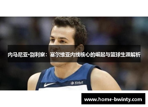 内马尼亚·别利察：塞尔维亚内线核心的崛起与篮球生涯解析