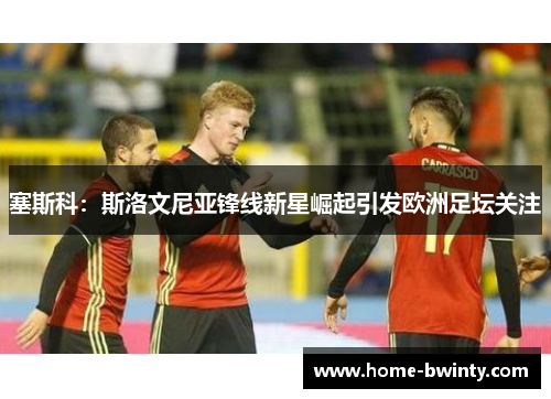 塞斯科：斯洛文尼亚锋线新星崛起引发欧洲足坛关注
