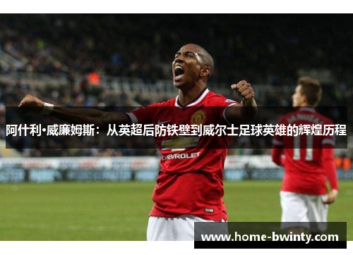阿什利·威廉姆斯：从英超后防铁壁到威尔士足球英雄的辉煌历程