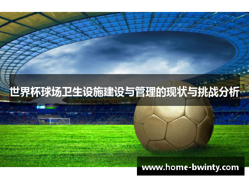 世界杯球场卫生设施建设与管理的现状与挑战分析