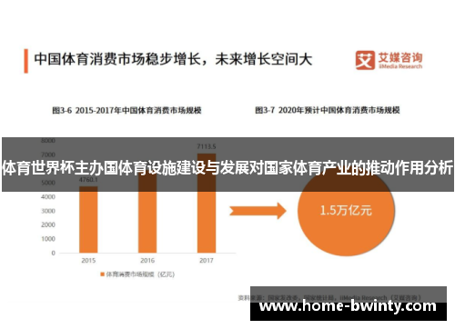 体育世界杯主办国体育设施建设与发展对国家体育产业的推动作用分析