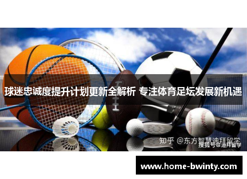 球迷忠诚度提升计划更新全解析 专注体育足坛发展新机遇
