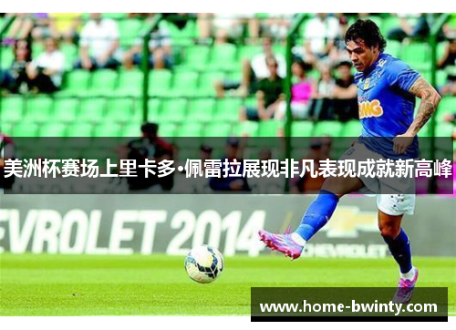 美洲杯赛场上里卡多·佩雷拉展现非凡表现成就新高峰
