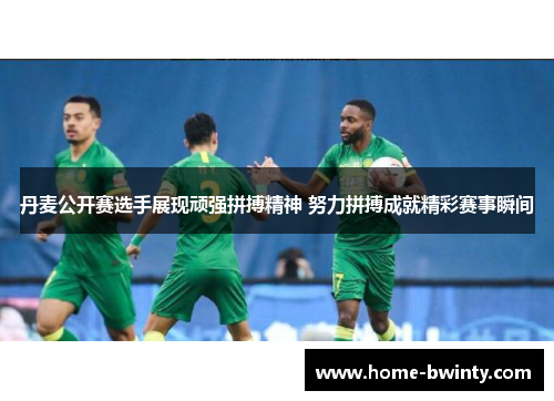 丹麦公开赛选手展现顽强拼搏精神 努力拼搏成就精彩赛事瞬间