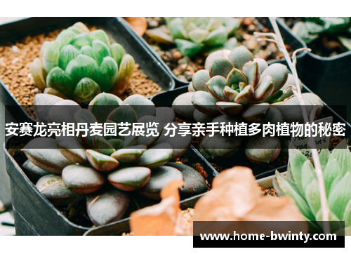 安赛龙亮相丹麦园艺展览 分享亲手种植多肉植物的秘密