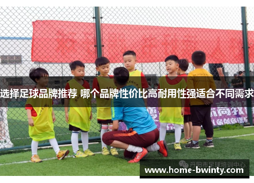 选择足球品牌推荐 哪个品牌性价比高耐用性强适合不同需求
