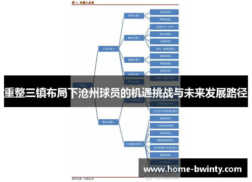 重整三镇布局下沧州球员的机遇挑战与未来发展路径