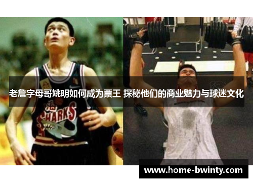 老詹字母哥姚明如何成为票王 探秘他们的商业魅力与球迷文化