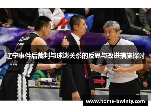 辽宁事件后裁判与球迷关系的反思与改进措施探讨