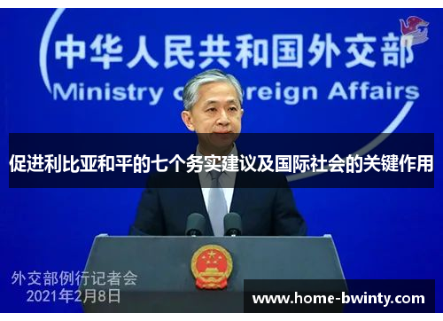 促进利比亚和平的七个务实建议及国际社会的关键作用