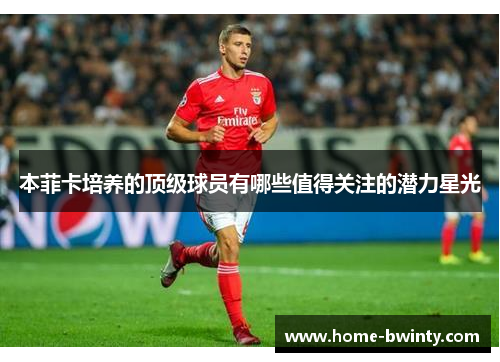 本菲卡培养的顶级球员有哪些值得关注的潜力星光