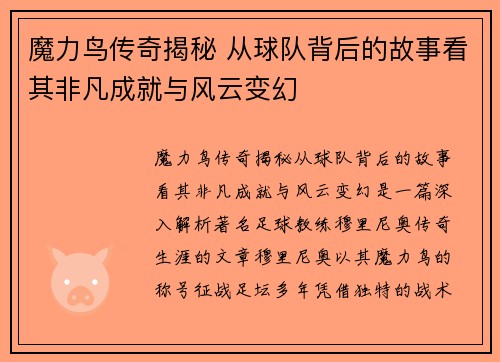 魔力鸟传奇揭秘 从球队背后的故事看其非凡成就与风云变幻