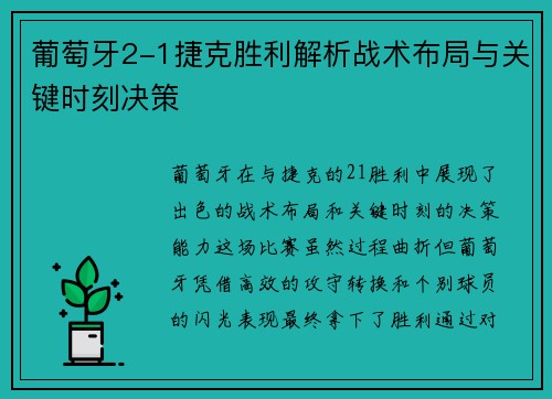 葡萄牙2-1捷克胜利解析战术布局与关键时刻决策