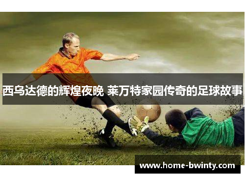 西乌达德的辉煌夜晚 莱万特家园传奇的足球故事